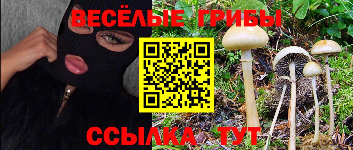 Кохма  Галлюциногенные грибы мухоморы  Вход с VPN 