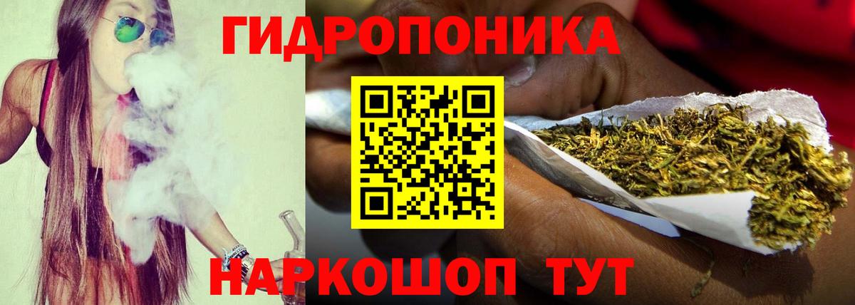 Конопля марихуана Кохма